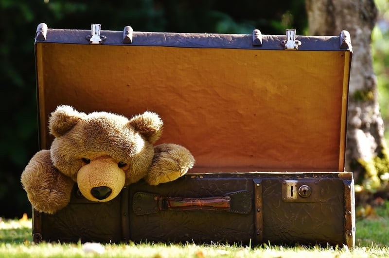 Suitcases ready for travel